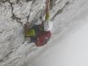 mountain_sports_www_kk_2010_10