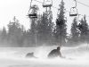 mountain_sports_www_kk_2010_24