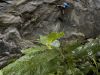 mountain_sports_www_kk_2010_3