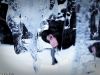 Norwegen Eisklettertrip Albert Leichtfried, Benny Purner