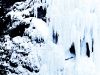 Norwegen Eisklettertrip Albert Leichtfried, Benny Purner